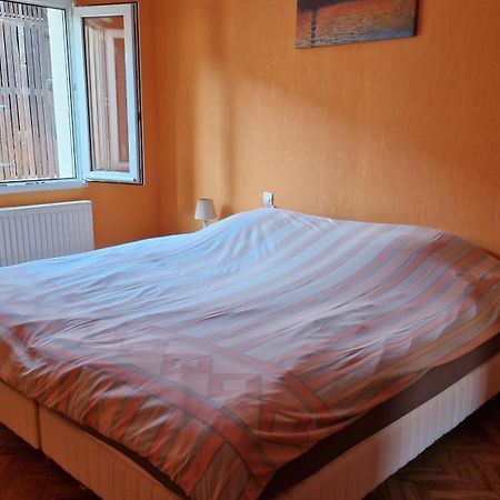 Appartement Le Grillenbreit Colmar Eksteriør bilde
