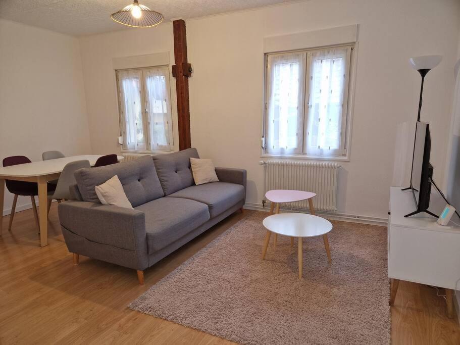 Appartement Le Grillenbreit Colmar Eksteriør bilde